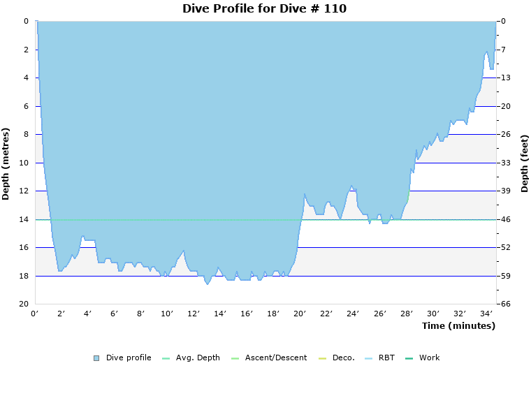 Dive Profile for Dive # 110
