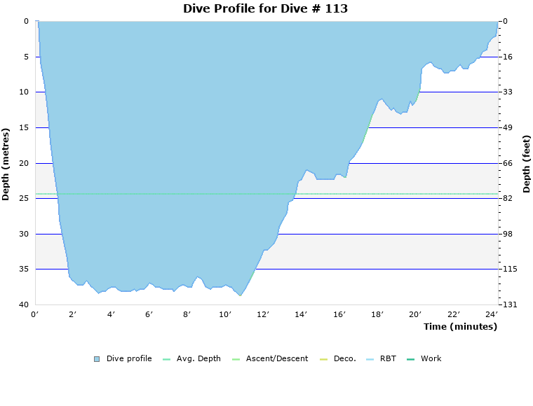 Dive Profile for Dive # 113