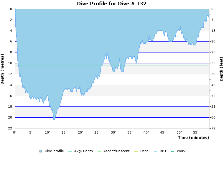 Dive Profile for Dive # 132