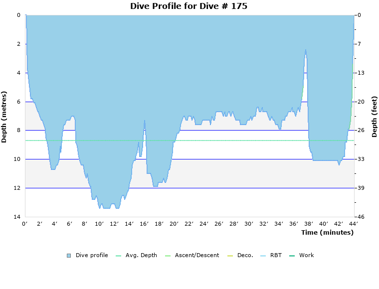 Dive Profile for Dive # 175