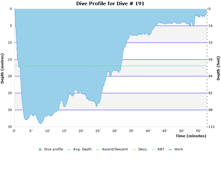 Dive Profile for Dive # 191