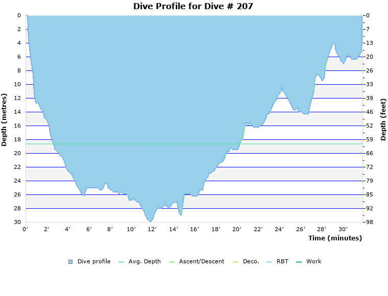 Dive Profile for Dive # 207