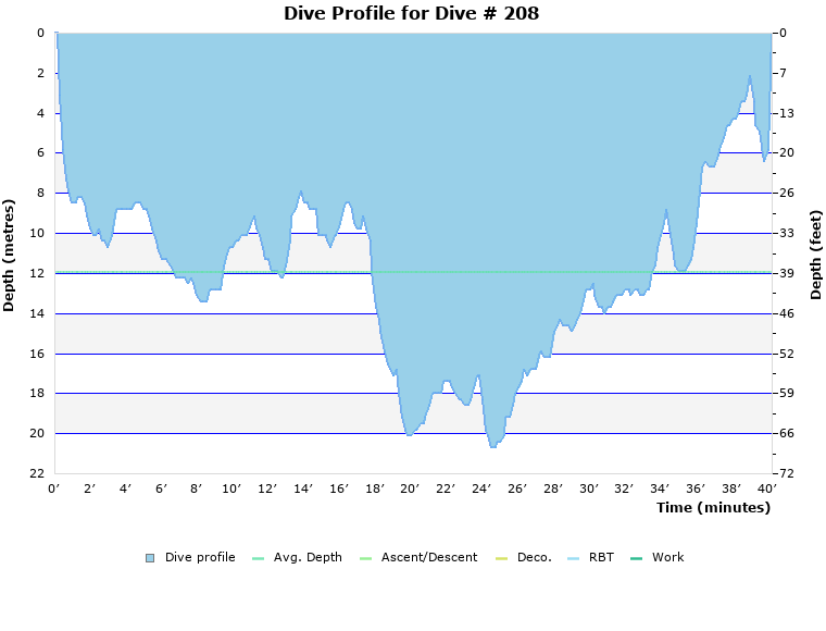 Dive Profile for Dive # 208