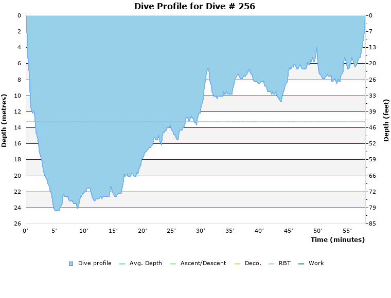 Dive Profile for Dive # 256