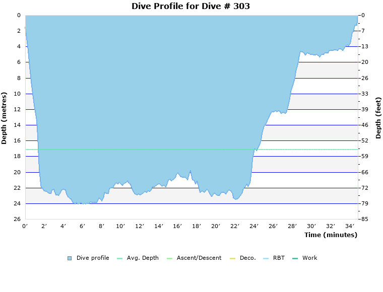 Dive Profile for Dive # 303
