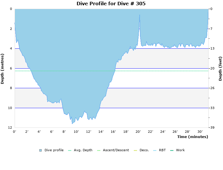 Dive Profile for Dive # 305