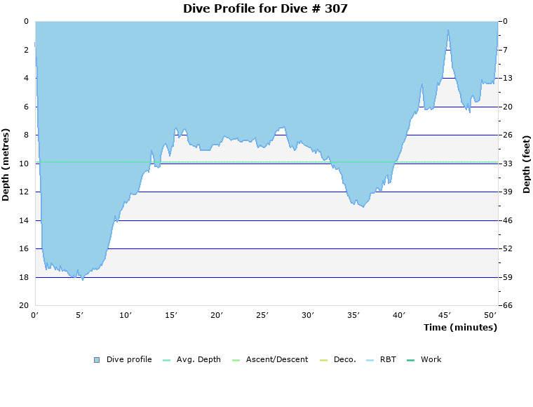 Dive Profile for Dive # 307