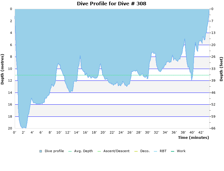 Dive Profile for Dive # 308