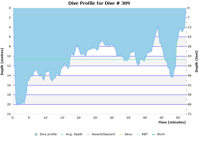 Dive Profile for Dive # 309