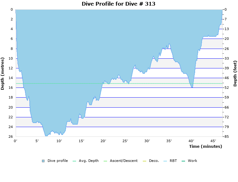 Dive Profile for Dive # 313