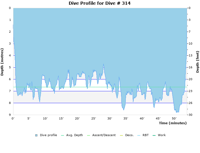 Dive Profile for Dive # 314