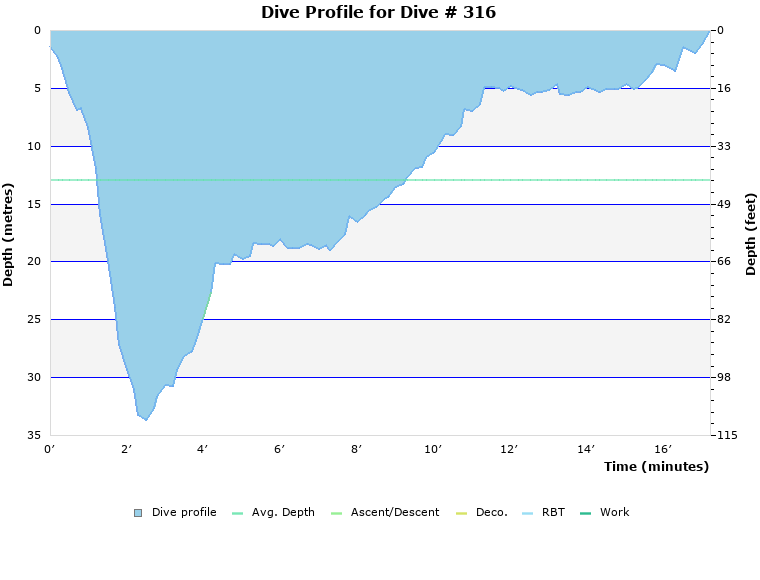 Dive Profile for Dive # 316