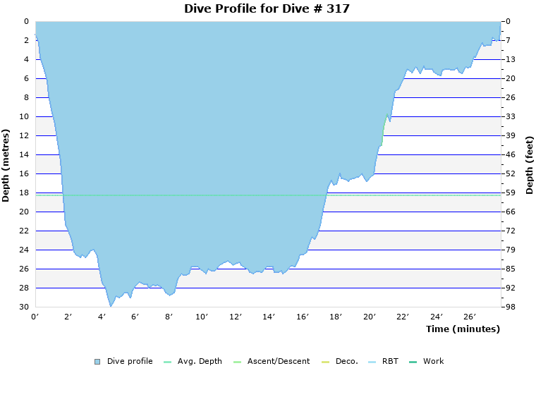 Dive Profile for Dive # 317
