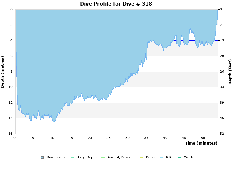 Dive Profile for Dive # 318