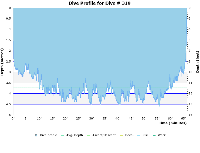 Dive Profile for Dive # 319