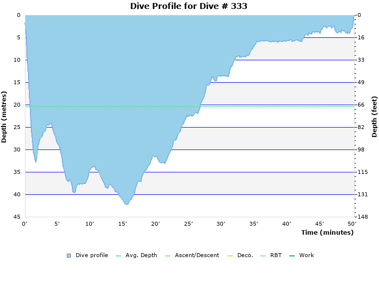 Dive Profile for Dive # 333