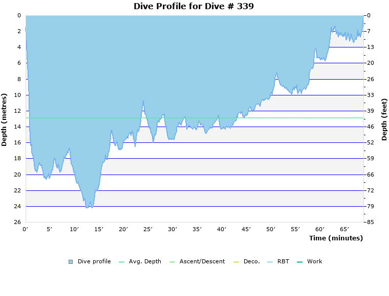 Dive Profile for Dive # 339