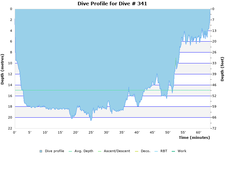 Dive Profile for Dive # 341