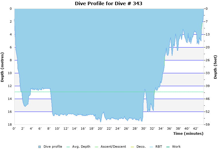 Dive Profile for Dive # 343