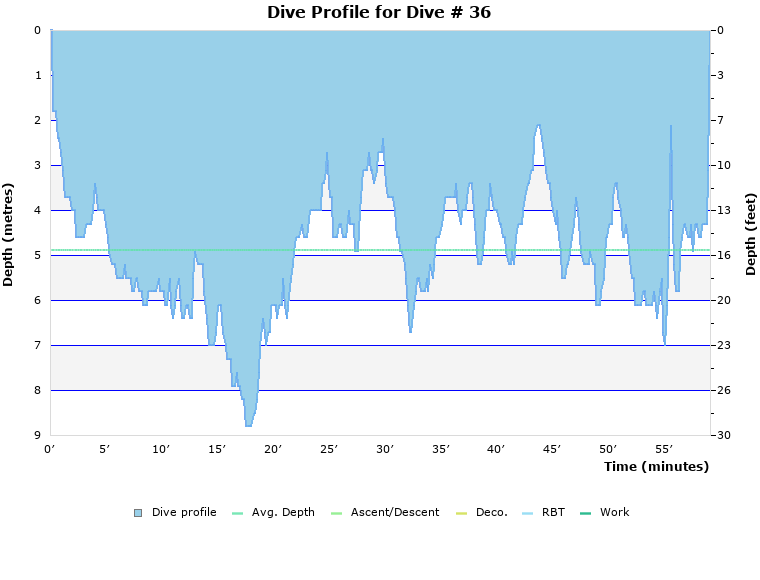Dive Profile for Dive # 36