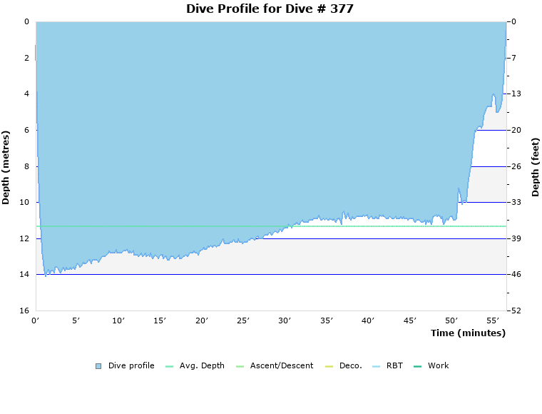 Dive Profile for Dive # 377