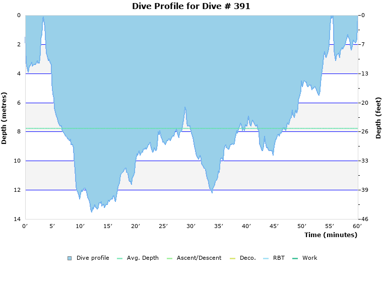 Dive Profile for Dive # 391