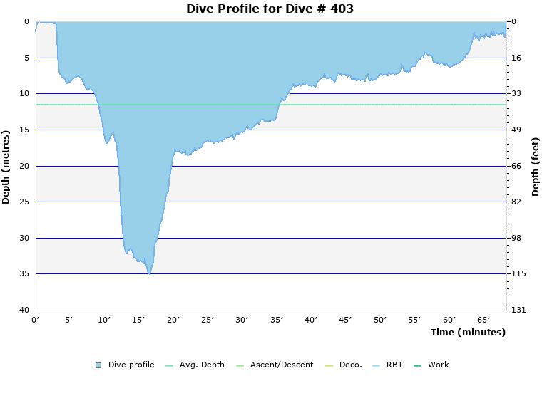 Dive Profile for Dive # 403