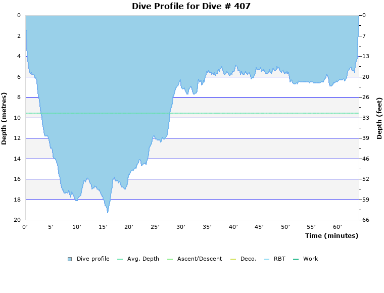 Dive Profile for Dive # 407