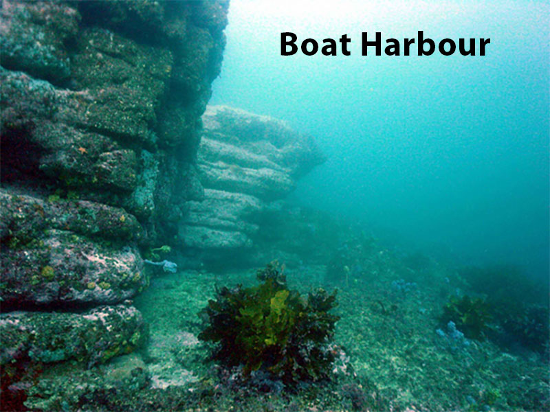 Map for Boat Harbour Cove