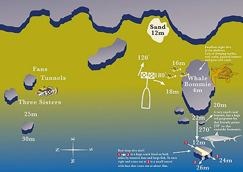 Map for Milln Reef - Whale Bombie