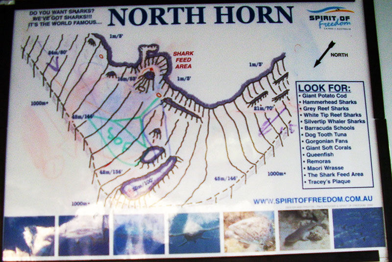Map for Osprey Reef - North Horn