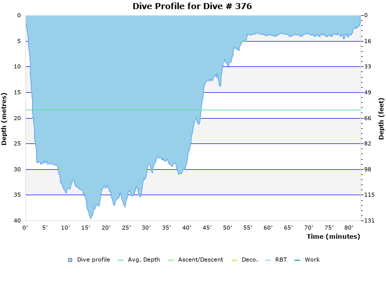 Dive Profile for Dive # 376
