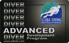 SDI Deep Diver scan front