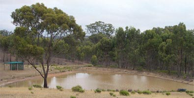 Front dam at "Raydon"