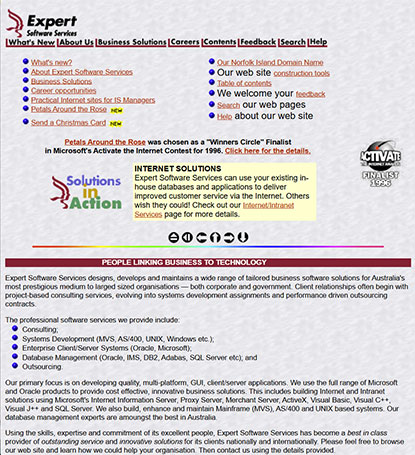 Expert Software Services Website
