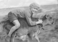 Dean Borrett Calf Riding