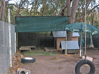 Dog enclosure – June 2005