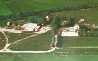 Lake View Farm